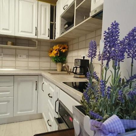Apartament 3 Camere Spatios Temeşvar Dış mekan fotoğraf