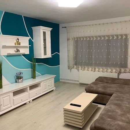 Apartament 3 Camere Spatios Temeşvar Dış mekan fotoğraf