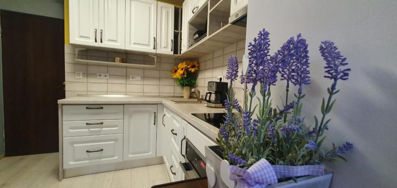 Apartament 3 Camere Spatios Temeşvar Dış mekan fotoğraf