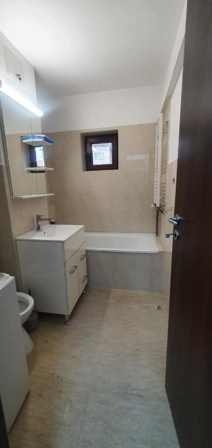 Apartament 3 Camere Spatios Temeşvar Dış mekan fotoğraf